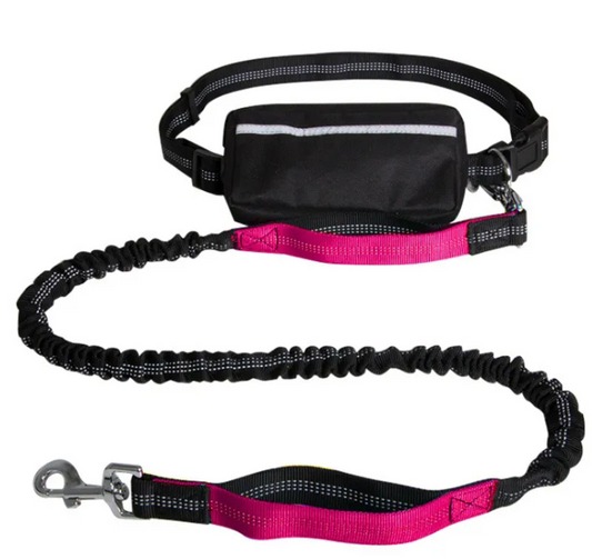 Reflective Handsfree Leash