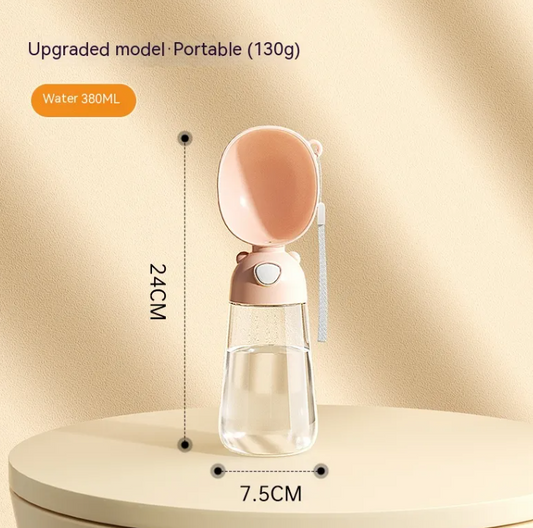Portable Water Bottle
