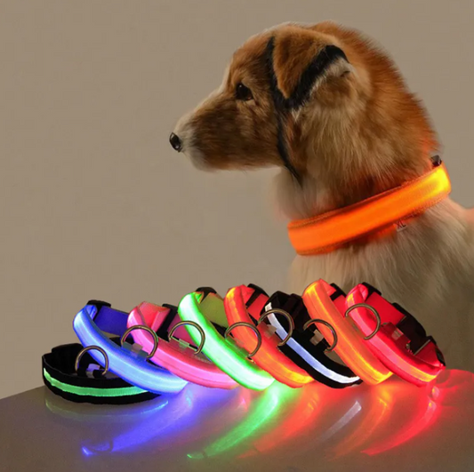 GlowPaw LED Collar