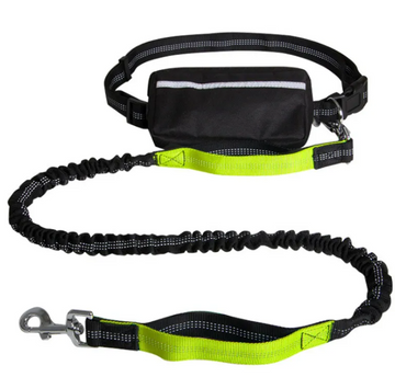 Reflective Handsfree Leash